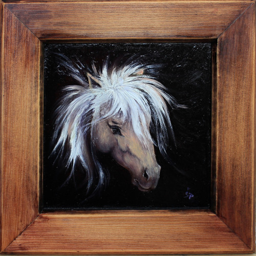 Wild pony — foto 1