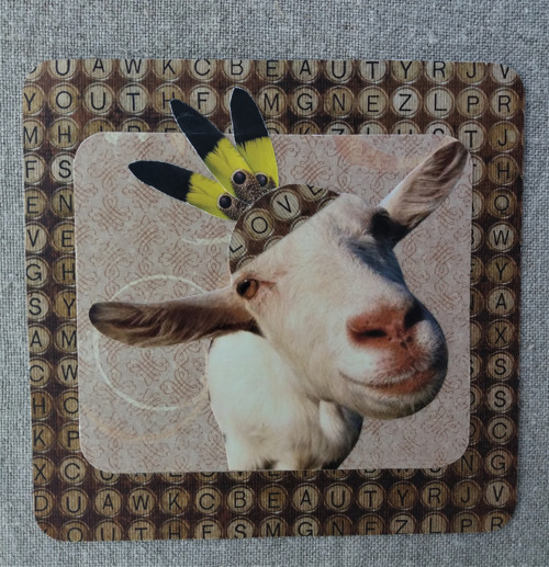 Princezna Róza 2018 — foto 1