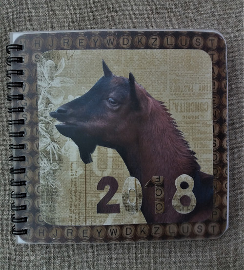 Róza v béžové 2018 — foto 1