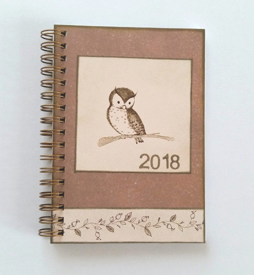 Moudrá sova - DIÁŘ 2018 — foto 1