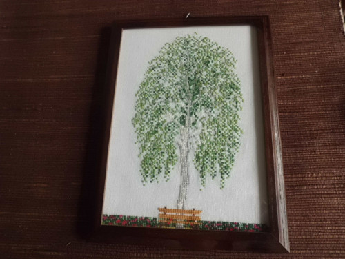 Bříza — foto 1
