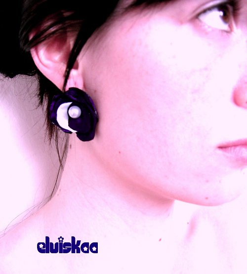 Fialky — foto 1