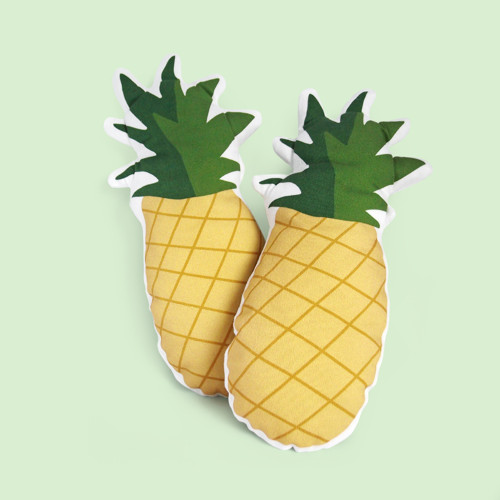 POTRAVINY / ananas — foto 1