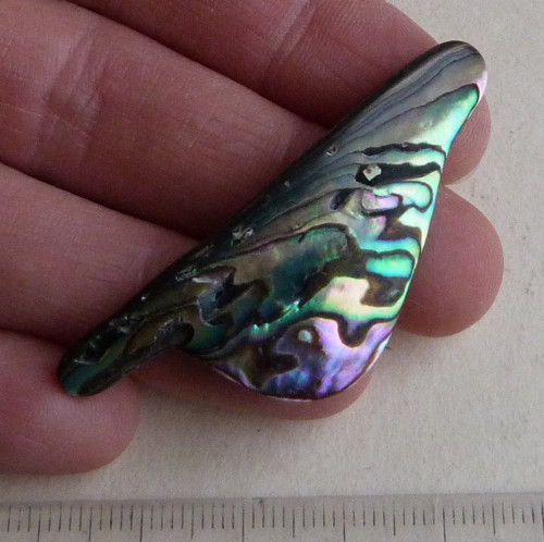 Perleť Paua - 5,3 x 2 x 0,4 cm — foto 1
