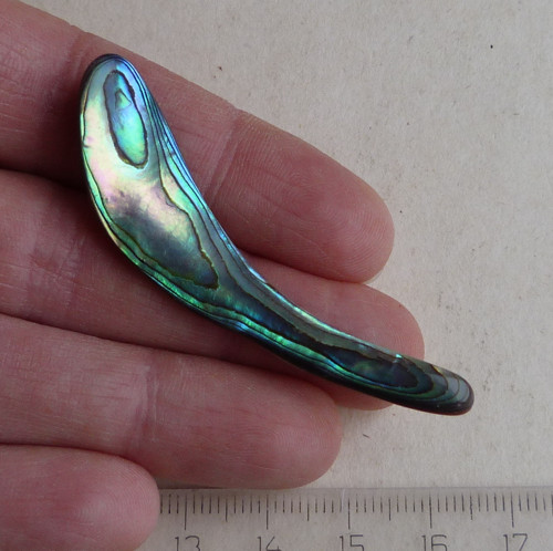 Perleť Paua - 5,8 x 1,2 x 0,3 cm — foto 1