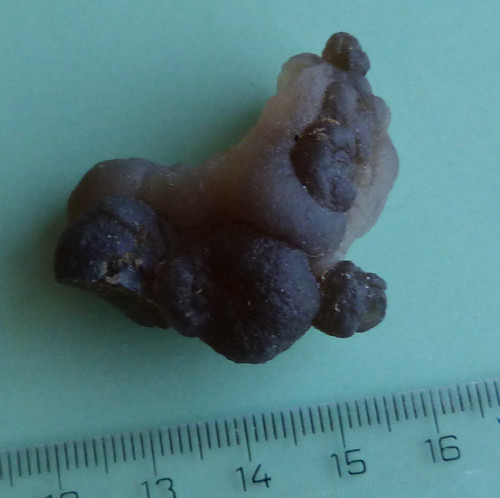 Chalcedon