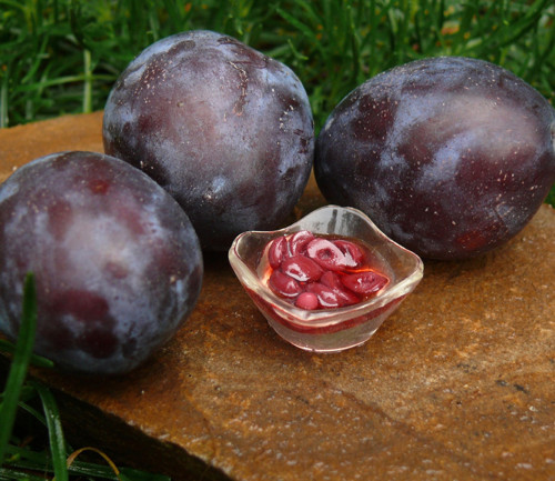 Švestkový kompot - Plum compote