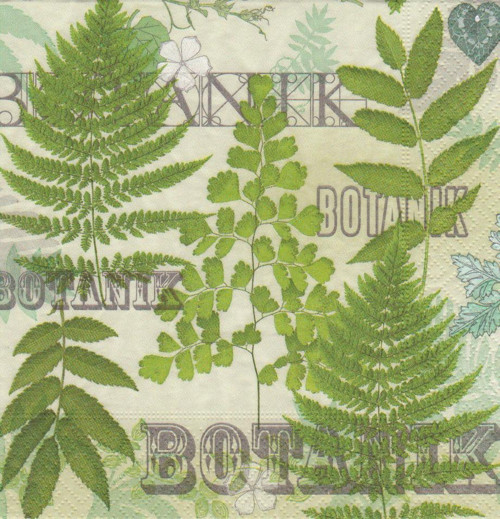 Ubrousek - listy — foto 1
