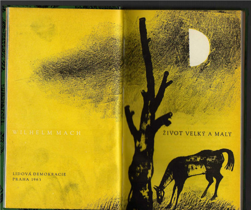 Život velký a malý - Wilhelm Mach — foto 1