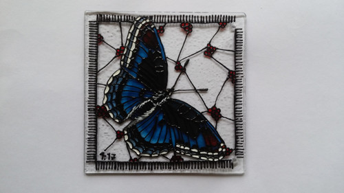 Limenitis arthemis III - na přání — foto 1