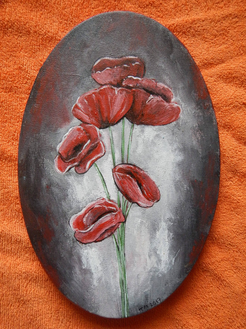 Vlčí máky — foto 1