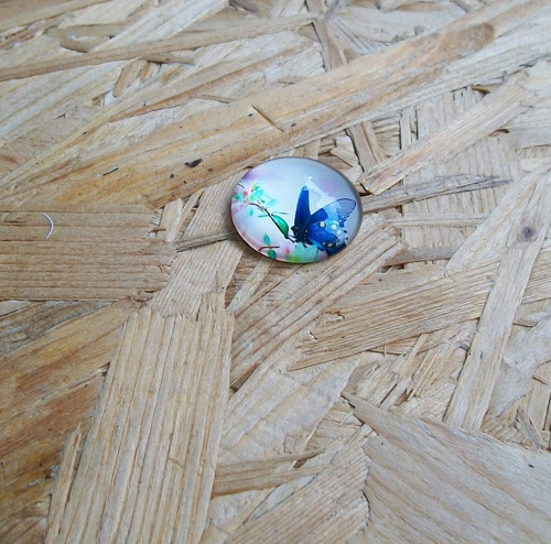 KABOŠON - MOTÝL 2 — foto 1