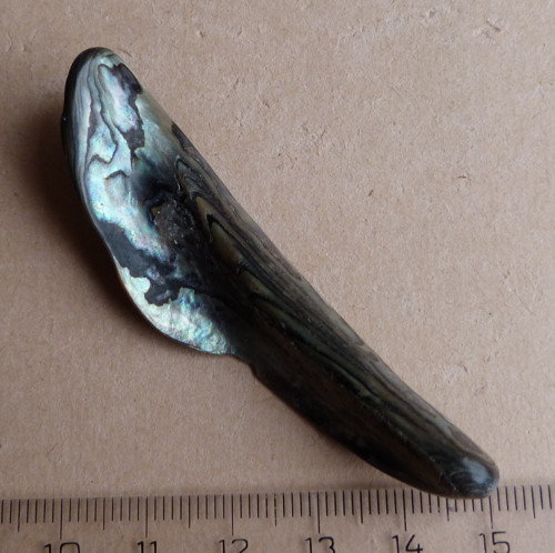Perleť Paua, 7 x 1,9 x 1 cm — foto 1