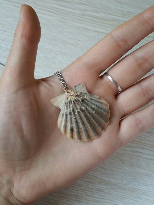 Mušle béžová velká — foto 1
