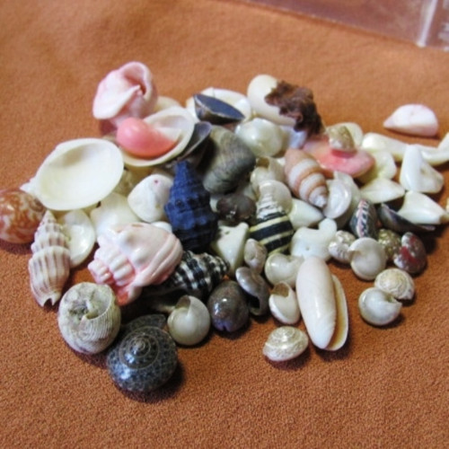 Materiál mušlovina — foto 1