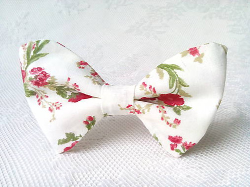 Romantic vintage bow tie