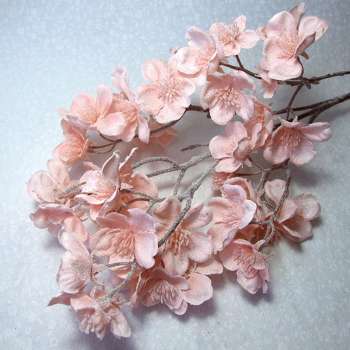 Ojíněná sakura — foto 1