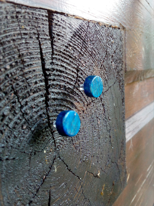 Jasanové pecky do uší (malé)