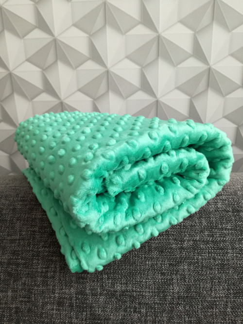 Minky - CUDDLE DIMPLE® Sea Foam