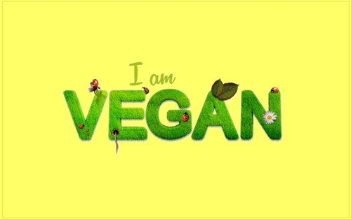 Panel 40x25cm I´am Vegan — foto 1