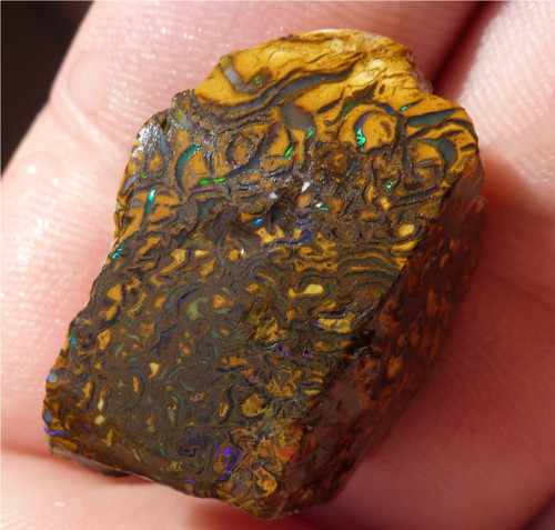 Australský Přírodní Boulder Opál Koroit Austrálie — foto 1