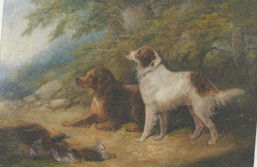 Bavlněná látka - panel 8,5 x 13 cm