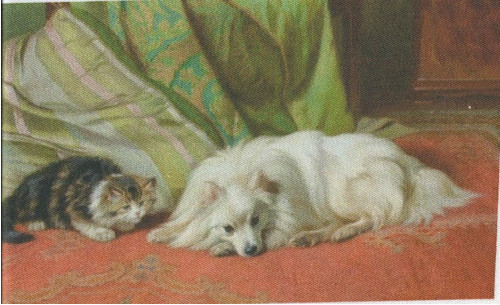 Bavlněná látka - panel 8,5 x 14 cm