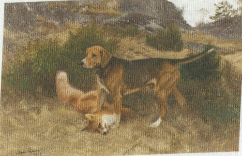 Bavlněná látka - panel 8,5 x 13 cm