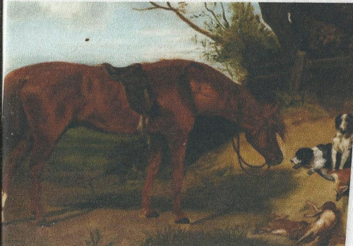 Bavlněná látka - panel 8,5 x 13 cm