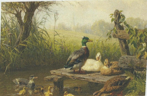 Bavlněná látka - panel 8,5 x 13 cm