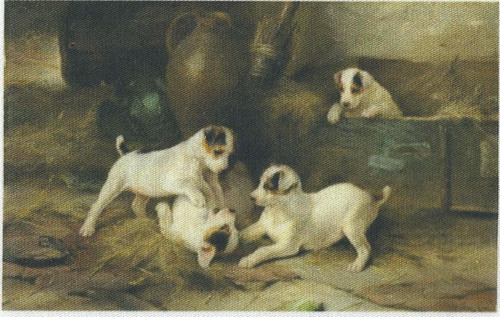 Bavlněná látka - panel 8 x 12,5 cm — foto 1