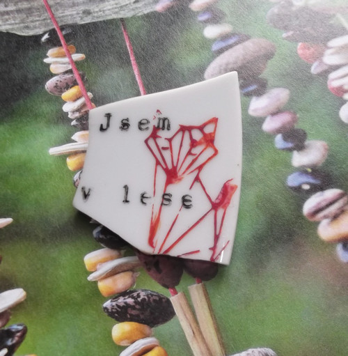 Jsem v lese II. — foto 1