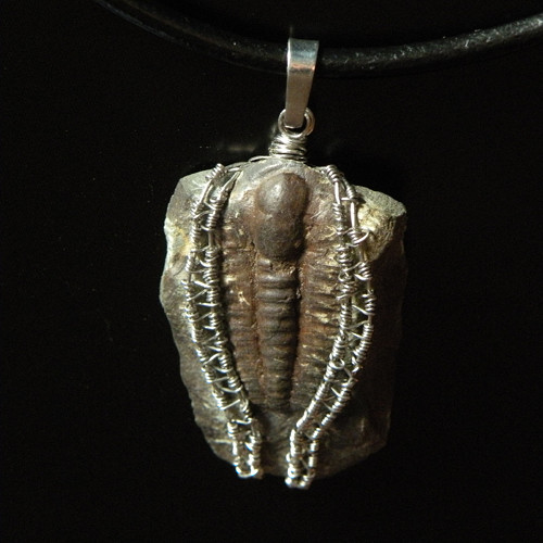 Trilobík — foto 1