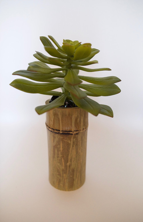 Dekorace BAMBoo L — foto 1