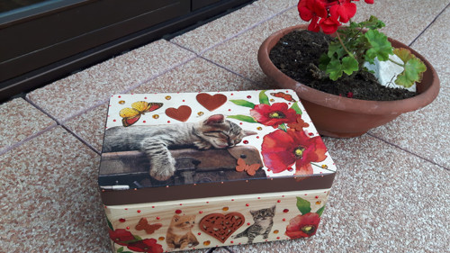 Kočičí box na cokoliv... — foto 1