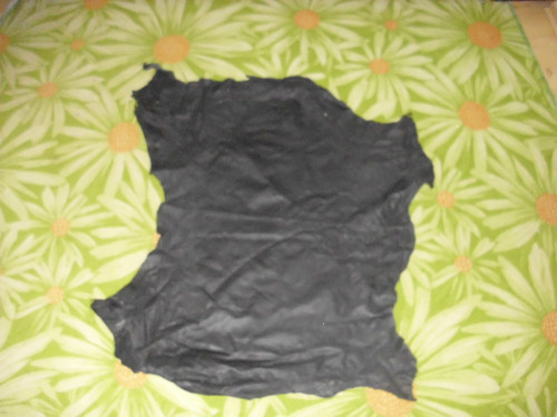 Useň kozinka černá