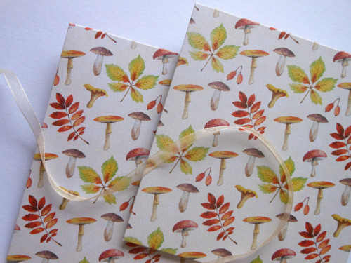 Houbičky a listí - obal na přání CD 13x14 cm — foto 1