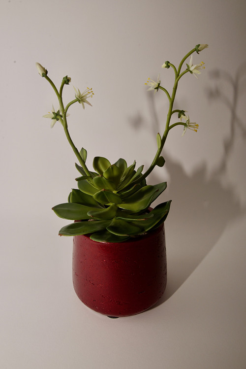 Dekorace REDSUCC I — foto 1