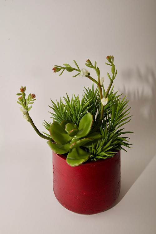 Dekorace REDSUCC III — foto 1