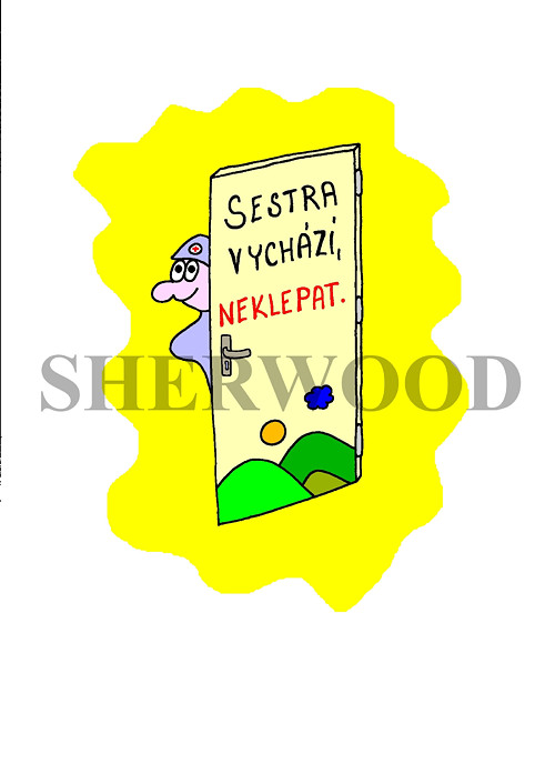 13.Sestra vychází