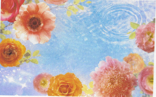 Bavlněná látka - panel 13 x 21 cm
