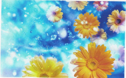 Bavlněná látka - panel 13 x 21 cm