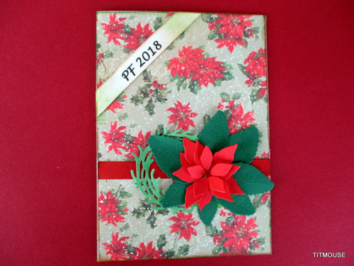 Poinsettia — foto 1