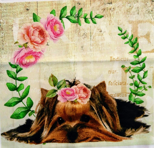 Bavlněná látka - panel 28 x 28 cm — foto 1