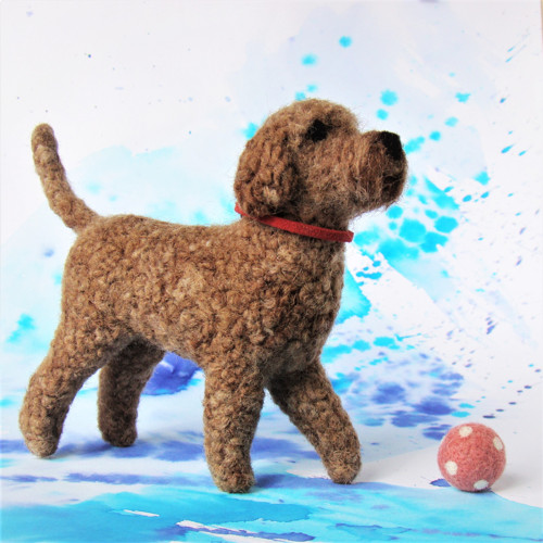Sissi - Lagotto Romagnolo — foto 1