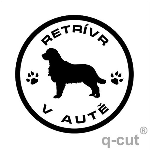 Retrívr v autě