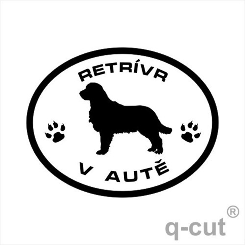 Retrívr v autě