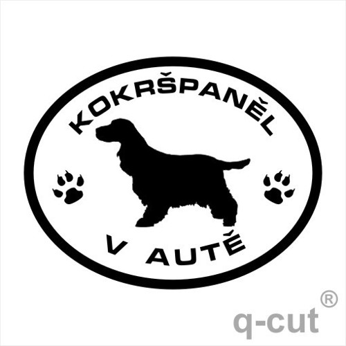 Kokršpaněl v autě — foto 1