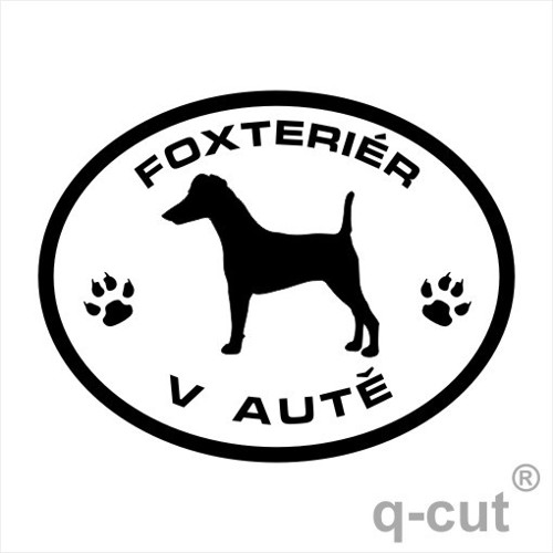 Foxteriér v autě