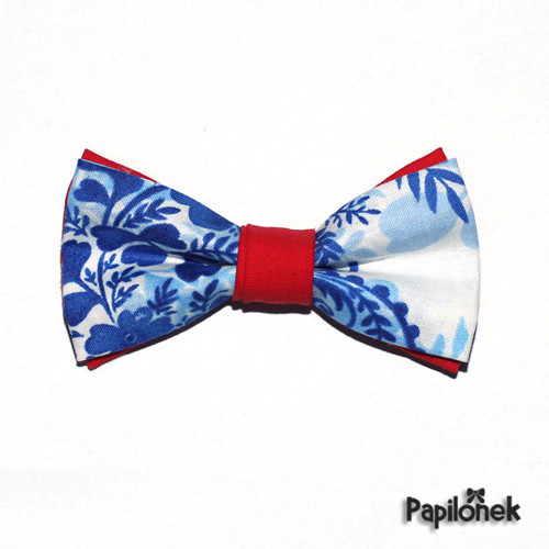 Pánský motýlek - Papilónek modroluční — foto 1